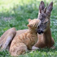 Sue Belcher Photo 8
