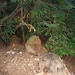 Annette Stump Photo 11