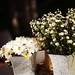 Eric Crowe Photo 42