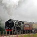 Oliver Fuller Photo 12