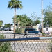 Carol Ray Photo 15