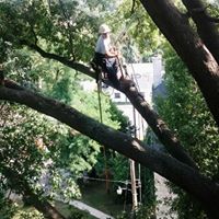 Tyler Lotz Photo 5