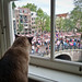 Max Gay Photo 18