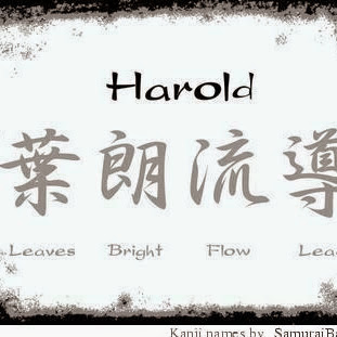 Harold Robles Photo 19