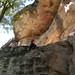Jeff Draper Photo 38