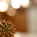 Autumn Sharp Photo 18