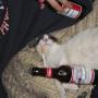 Ken Shepherd Photo 42