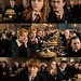 Fred Potter Photo 12