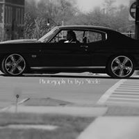Theodore Davis Photo 26