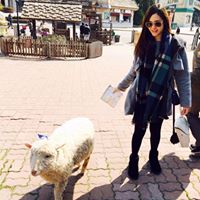 Joanna Chan Photo 26