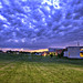Nancy Freer Photo 5