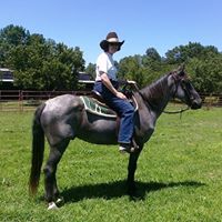 Nancy Busbee Photo 3
