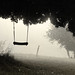 A I Photo 17