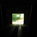 Diane Cromer Photo 13