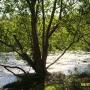 Jennifer Rivard Photo 17