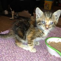 Mary Franke Photo 34