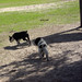 Rosie Goins Photo 7