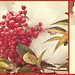 Rita Thies Photo 11