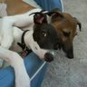 Kathryn Hendricks Photo 18