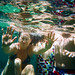 Dwayne Pool Photo 3