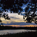 Dawn Trout Photo 12