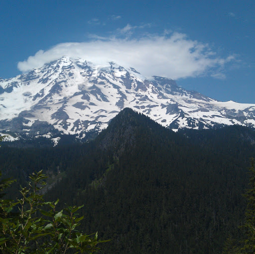 Marcia Brooks Photo 28