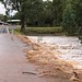 Alice Flood Photo 2