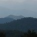 Forrest Taylor Photo 29