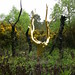 Geoffrey Fay Photo 11