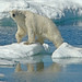 Leslie Berger Photo 38