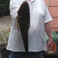 Margaret Sampson Photo 22