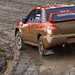 Nathan Conley Photo 7