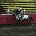 David Ernst Photo 47