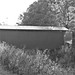 Randolph Sharp Photo 8