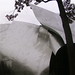Frank Hudson Photo 16