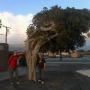 Jeremy Stratton Photo 29