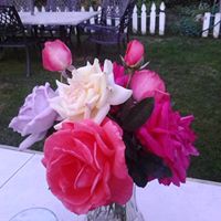 Deborah Yates Photo 5
