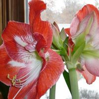 Mary Clausen Photo 14