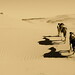 Marc Frankel Photo 28