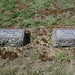 Nellie Shaw Photo 12