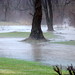 Debi Downs Photo 18