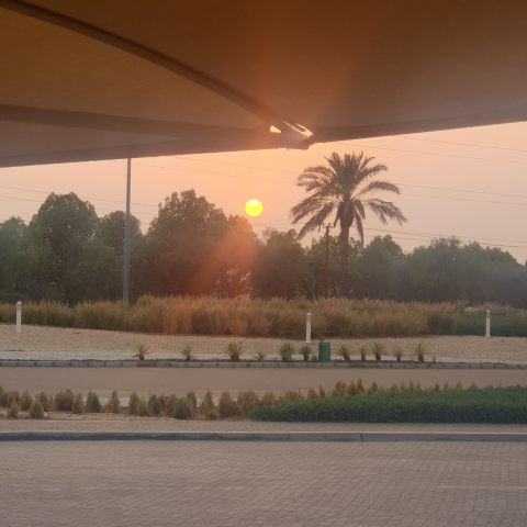 Saima Zafar Photo 29