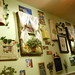 Joy Pate Photo 13