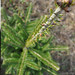Douglas Furr Photo 10