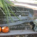 Lynn Harding Photo 6