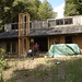 Janet Emmons Photo 4
