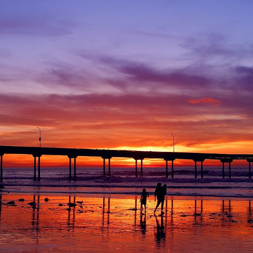Erin Robinson Photo 44