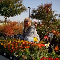 Lisa Steen Photo 19