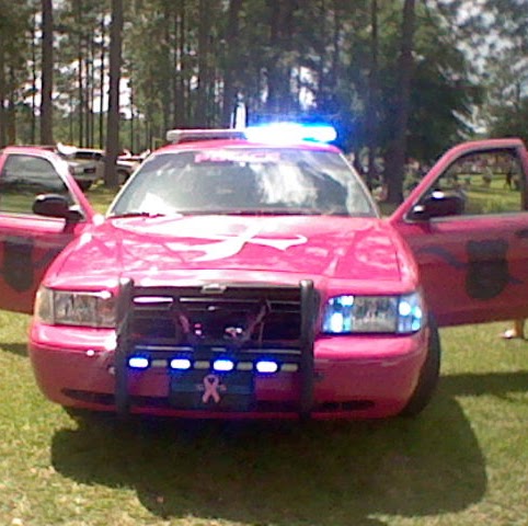 Casey Nicholson Photo 8