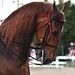 Jerry Mclain Photo 18